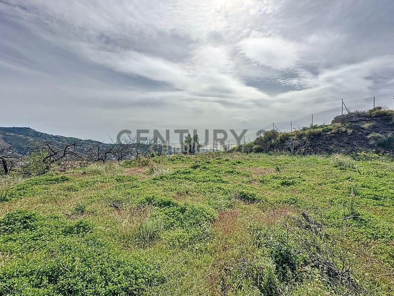 Foto 7cae196f-a830-476c-ad7e-22dc783008f0. Fondo rustico in camino zarzaparrilla - fuente de ariza 183 in Algarrobo