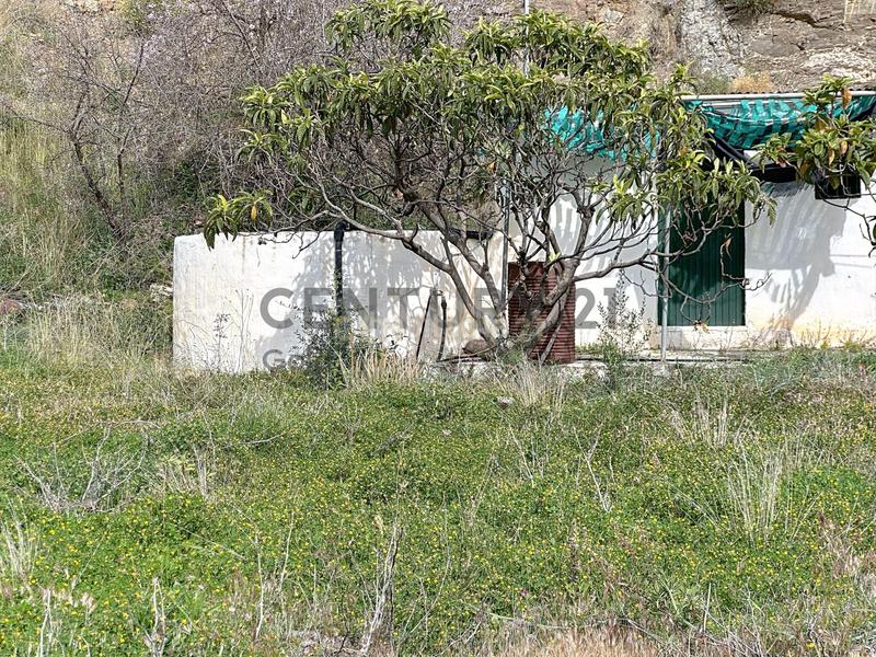 Foto 9e0138a4-e6c0-4ad5-a485-1dfd2b3bd0cd. Fondo rustico in camino zarzaparrilla - fuente de ariza 183 in Algarrobo