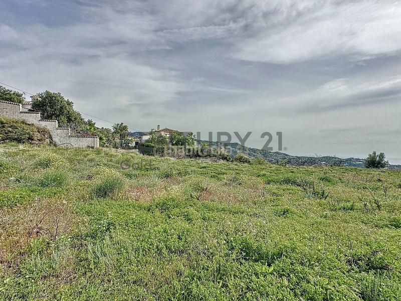 Foto 9f6093e8-08a2-479c-aa14-58618a85747e. Fondo rustico in camino zarzaparrilla - fuente de ariza 183 in Algarrobo