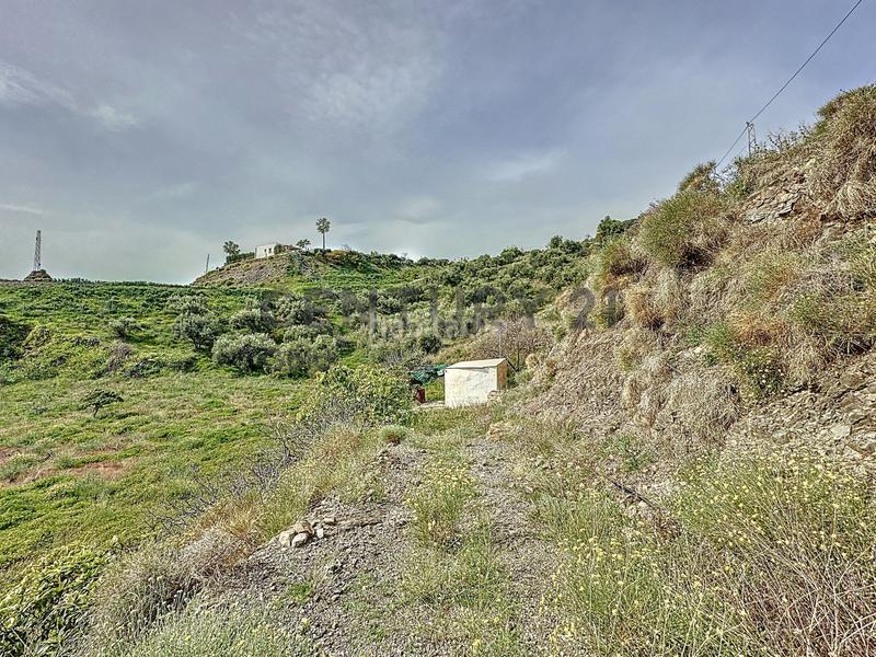 Foto 9f8c26d0-27ea-45af-ba8f-d157485131ba. Fondo rustico in camino zarzaparrilla - fuente de ariza 183 in Algarrobo