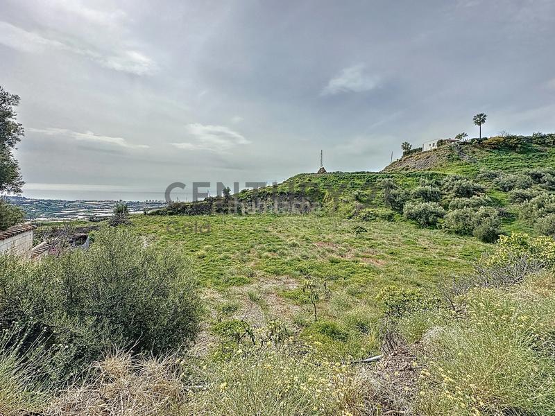 Foto b01e1d69-ce45-45fb-bf5f-eb8071f5bf06. Fondo rustico in camino zarzaparrilla - fuente de ariza 183 in Algarrobo