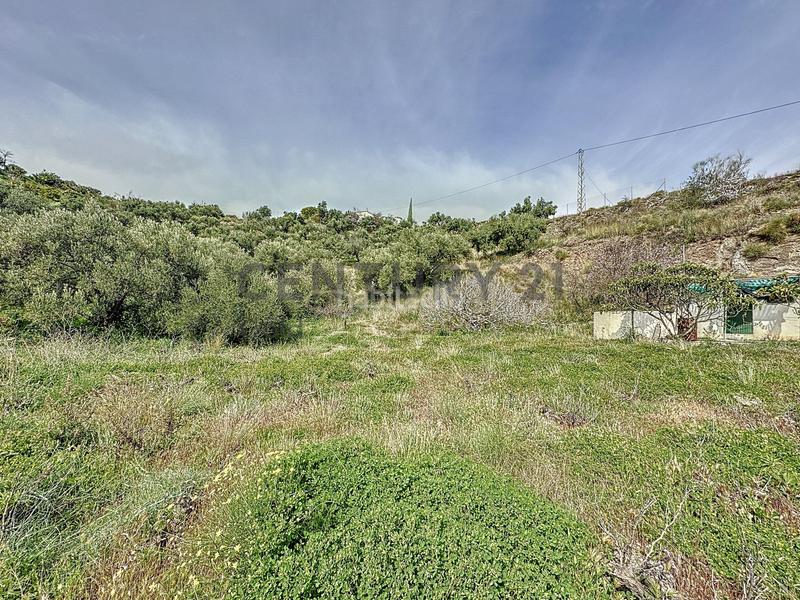 Foto baaef7f5-6d20-4987-8cd5-b9eb986aa246. Fondo rustico in camino zarzaparrilla - fuente de ariza 183 in Algarrobo