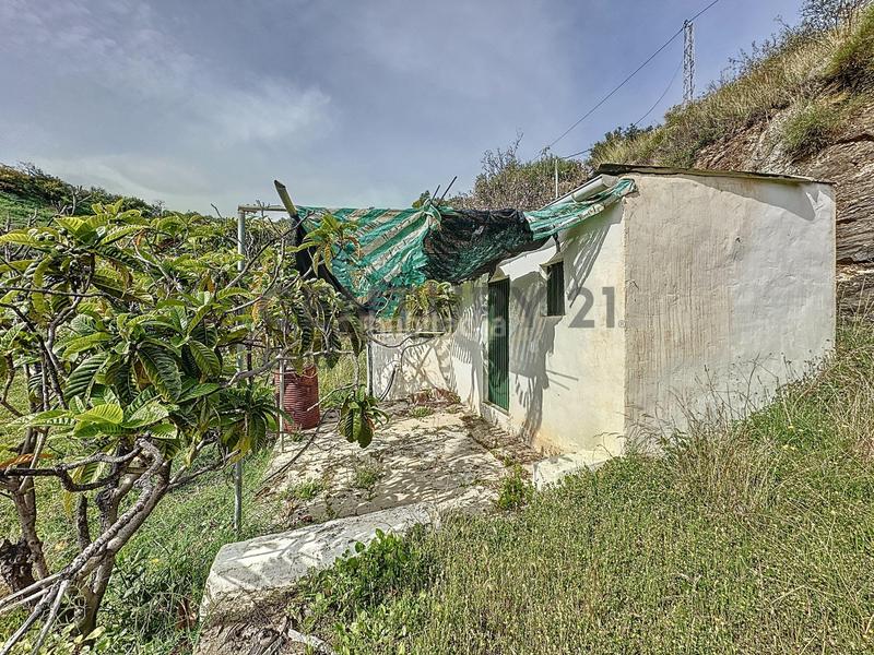 Foto d13b82db-b396-4490-b924-046649309f84. Fondo rustico in camino zarzaparrilla - fuente de ariza 183 in Algarrobo