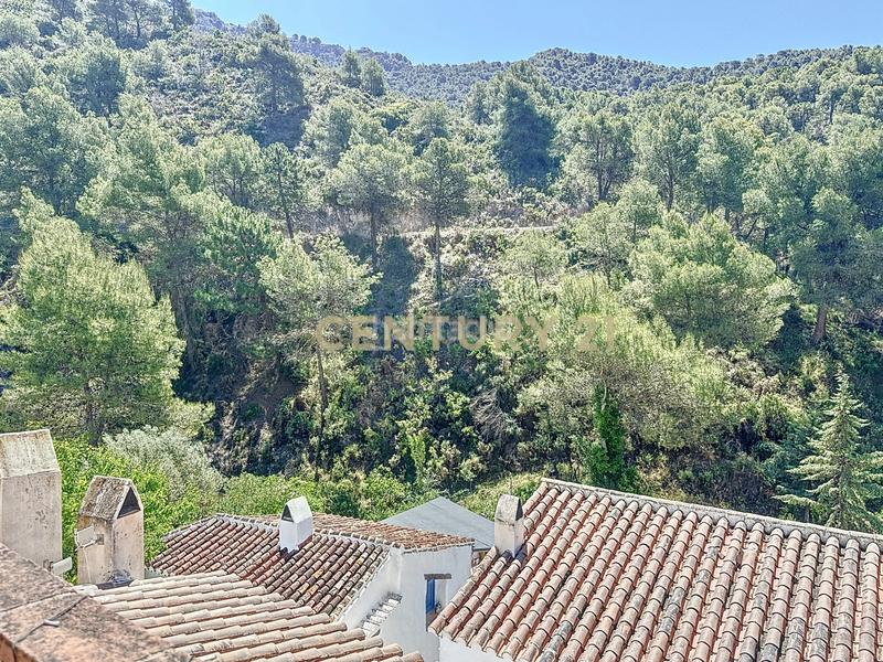 Foto 398026f4-e434-4726-ae93-f26134658faa. Casa amb piscina a Frigiliana