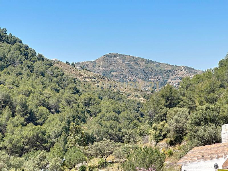 Foto 90ea5377-07aa-43b5-a9f5-624c3b511cf4. Casa amb piscina a Frigiliana