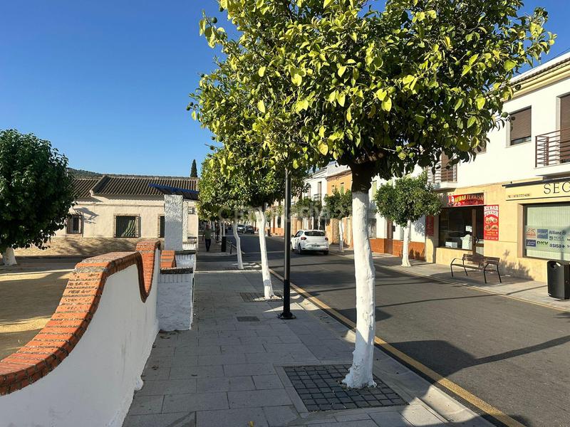 Foto c49b3af2-4d64-4879-a3ab-ab7e940ef39b. Residential plot in 29531 Humilladero in Humilladero