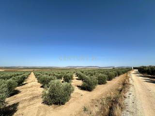 Propriété à 29520 fuente de piedra, spain. Oportunidad única de inversión en fuente de piedra
