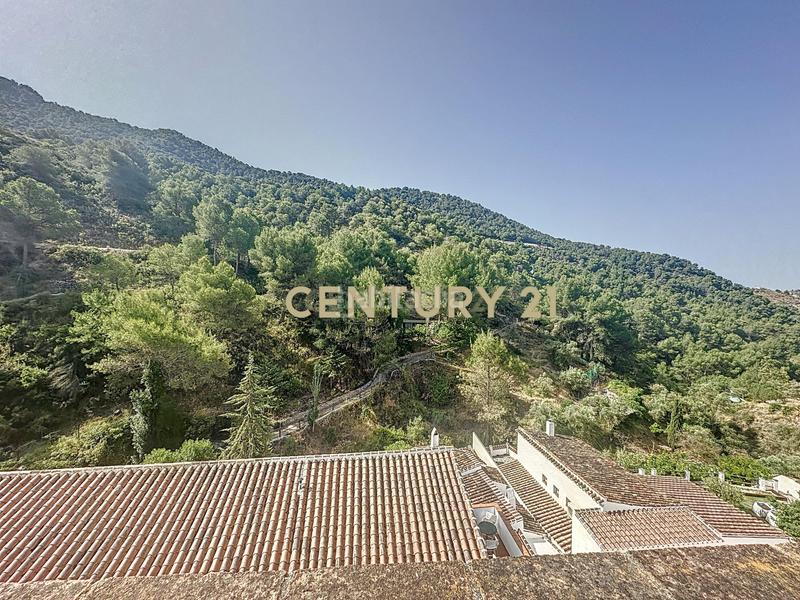 Foto 480c0929-2566-4787-bf09-ce363ee9684d. Casa amb piscina a Frigiliana