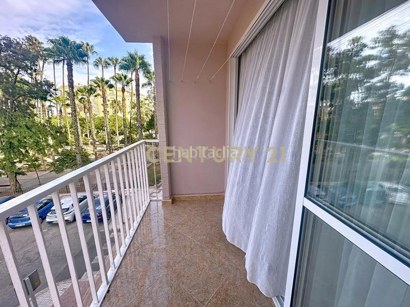 Foto bace9e28-a674-4cfe-b777-5d2ed2c298cc. Appartamento in santa paula in Los Guindos - Parque Mediterráneo - Santa Paula Málaga