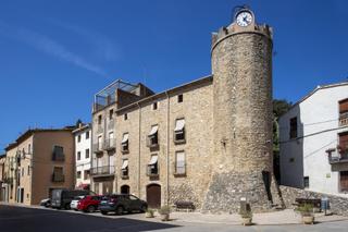 Masia a Cervi de Ter. Exclusiva apialia casa de pedra singular al centre de cervi de