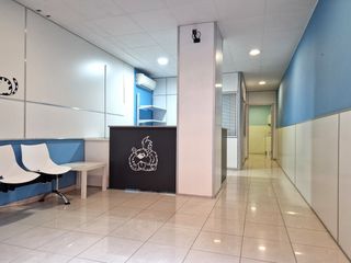 Rent Business premise in Sant Narcis. Sant narcís. local comercial, es ideal per despatx de profession