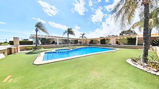 Reihenhaus in Mil Palmeras. Acogedor adosado seminuevo en mil palmeras, pilar de la horadada