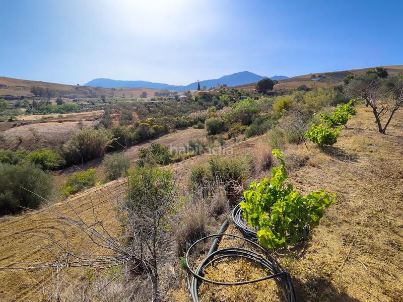 Foto 5efbf873-4dcd-43cd-907c-6a7e53b3511a. Terrain résidentiel dans Coín