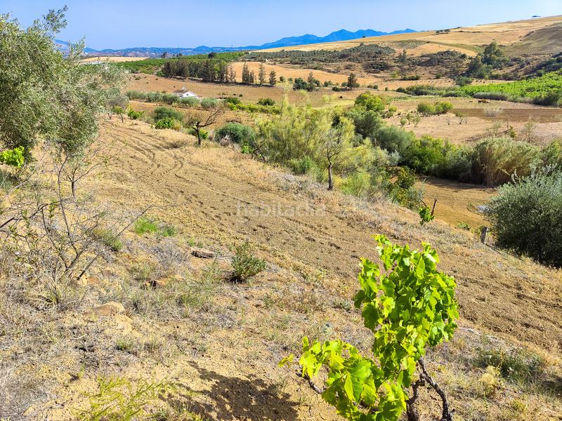 Foto 9f37f21c-1406-45a3-b430-9789c4866a28. Terrain résidentiel dans Coín