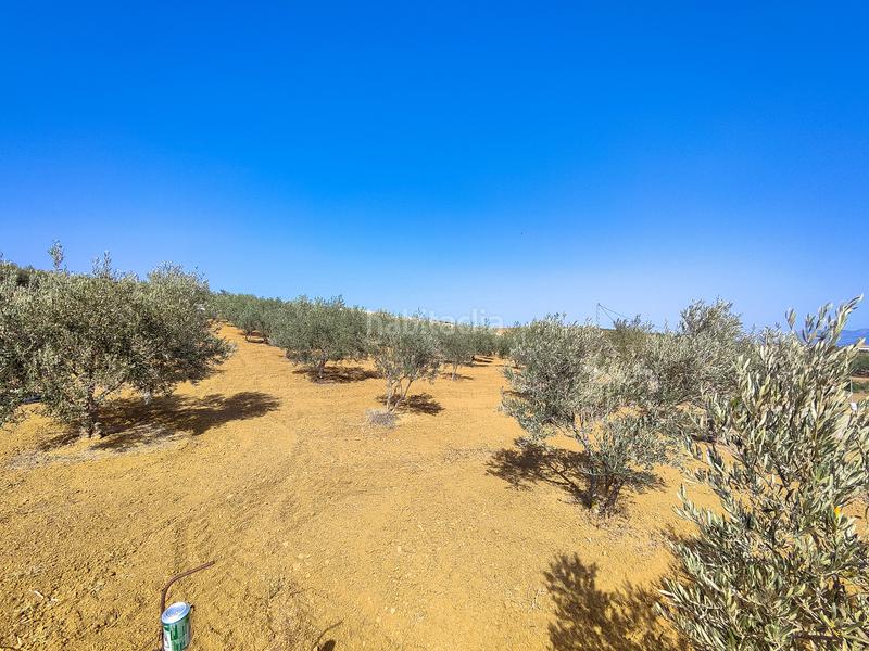 Foto c72e628e-4fb3-45f5-9be1-72c87f8c1b16. Terrain résidentiel dans Coín