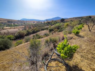 Wohngrundstück in Coín. Terreno la jara