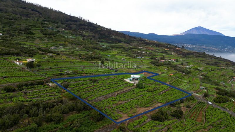 Foto 09930768-8d62-4423-80de-8a0caba1a317. Finca rústica a calle las turcas 69 a La Corujera Santa Úrsula