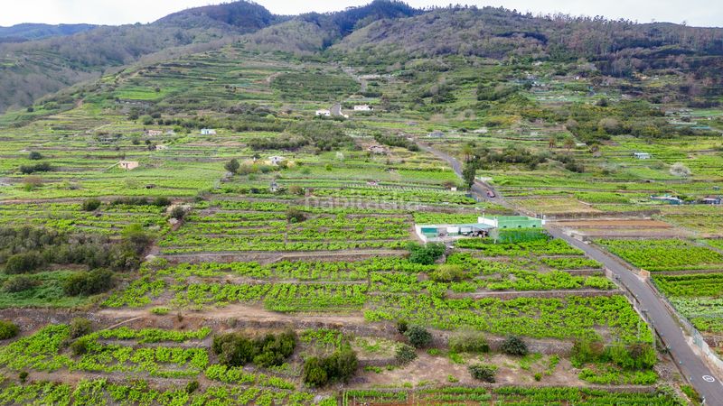 Foto 63d78259-5015-475f-89a0-c469555a7b7e. Finca rústica a calle las turcas 69 a La Corujera Santa Úrsula