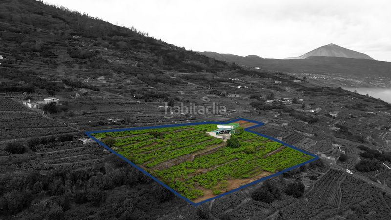 Foto 880165ba-5009-48e9-b788-e0341ec9d362. Finca rústica a calle las turcas 69 a La Corujera Santa Úrsula