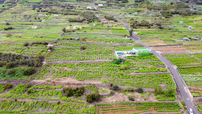Foto 8d621354-1efa-4523-b915-a615842247fc. Finca rústica a calle las turcas 69 a La Corujera Santa Úrsula