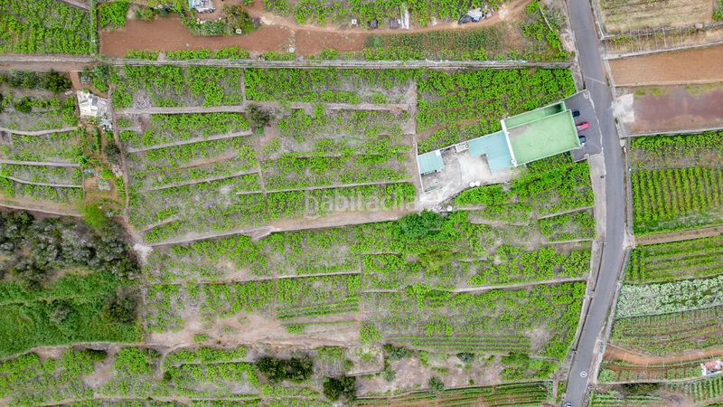 Foto a44f33d3-4aba-4308-a9cb-2406611bdfbd. Finca rústica a calle las turcas 69 a La Corujera Santa Úrsula