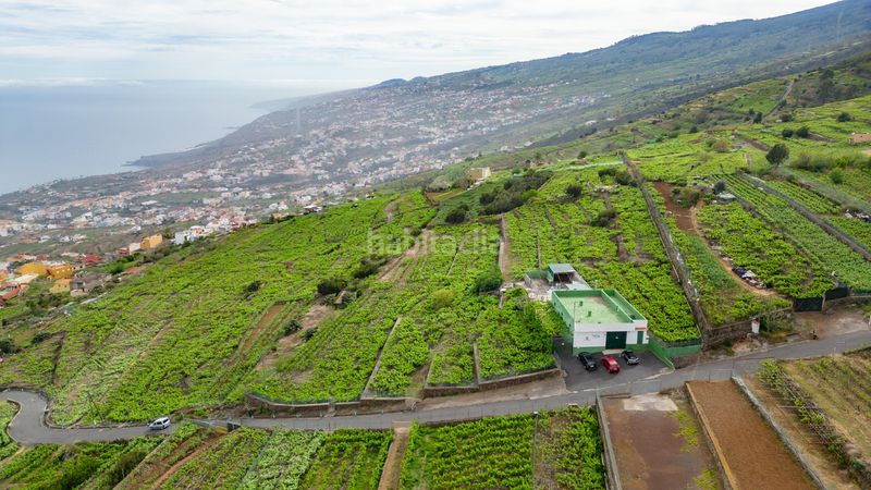 Foto c72935ea-e825-4a71-a909-579d3a1383be. Finca rústica a calle las turcas 69 a La Corujera Santa Úrsula