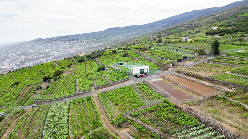 Foto cc1c96f0-5634-41c5-a5f4-316cff1013bf. Finca rústica a calle las turcas 69 a La Corujera Santa Úrsula