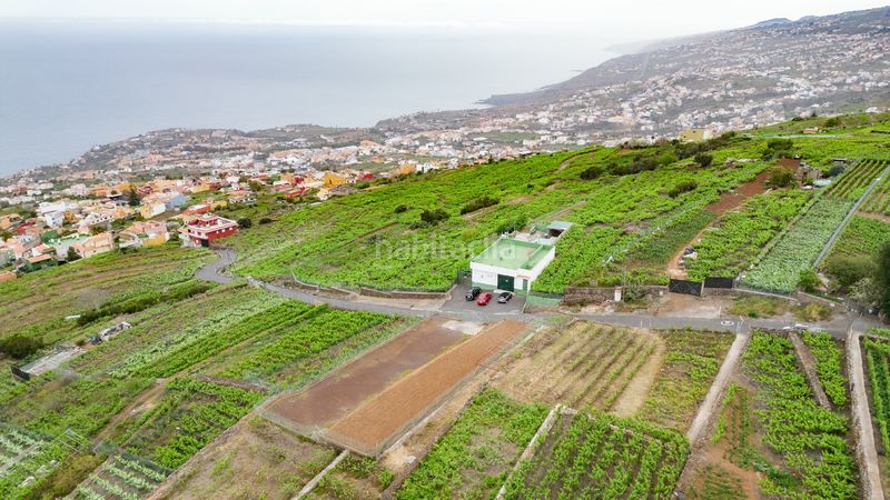 Foto f12ece8b-6711-47d1-b74b-4f721bcc2ea7. Finca rústica a calle las turcas 69 a La Corujera Santa Úrsula