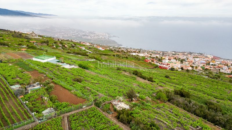 Foto f335b4f8-2d86-4d8e-bd6d-c515fe4f5cd4. Finca rústica a calle las turcas 69 a La Corujera Santa Úrsula