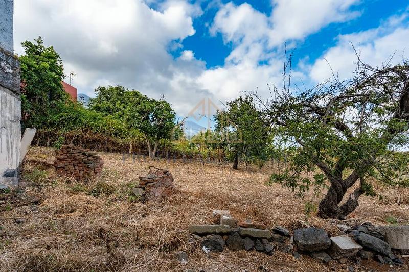 Foto 029b0658-2d1c-4c55-8176-0a59d39a9528. Casa in calle del pino 60 in Victoria de Acentejo (La)