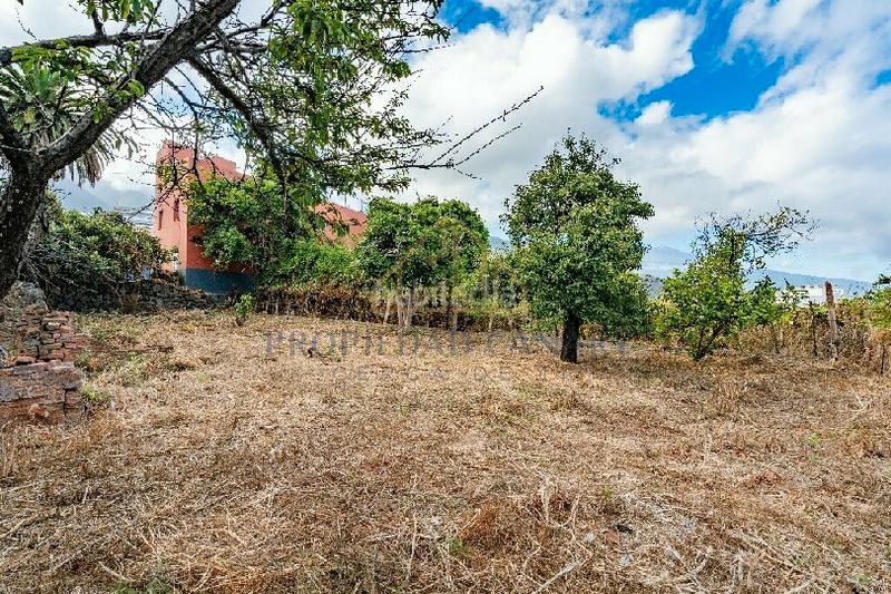 Foto 3d7167d6-413b-4374-b087-0198d74bb288. Casa in calle del pino 60 in Victoria de Acentejo (La)