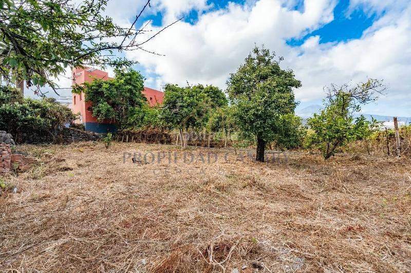 Foto 45873625-7460-4760-8f8e-3431f993f934. Casa in calle del pino 60 in Victoria de Acentejo (La)