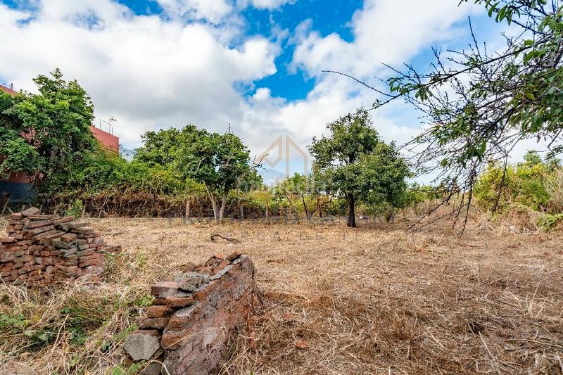 Foto 9cf848d3-8bd4-46ab-bd07-2d30fcbecfcf. Casa in calle del pino 60 in Victoria de Acentejo (La)