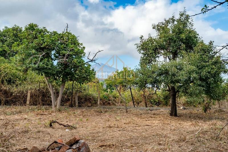 Foto ff6a4d5a-aae8-4b78-94d6-23903c0e4627. Casa in calle del pino 60 in Victoria de Acentejo (La)