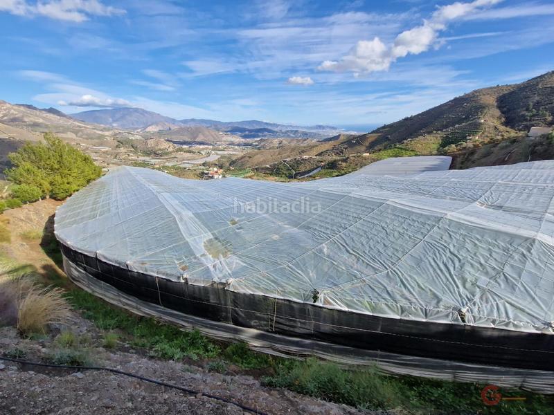 Foto b18941ef-4ee8-4a61-adae-ca0c24e0214e. Masía itrabofinca rustica en Ítrabo