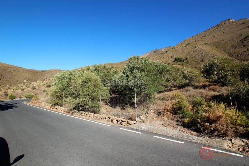 Foto 66828b15-5848-4359-93c4-02630f10c85d. Masía finca rustica en Vélez de Benaudalla