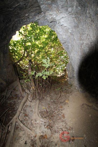 Foto b251b67b-206f-41bd-b539-252779114238. Masía finca rustica en Vélez de Benaudalla