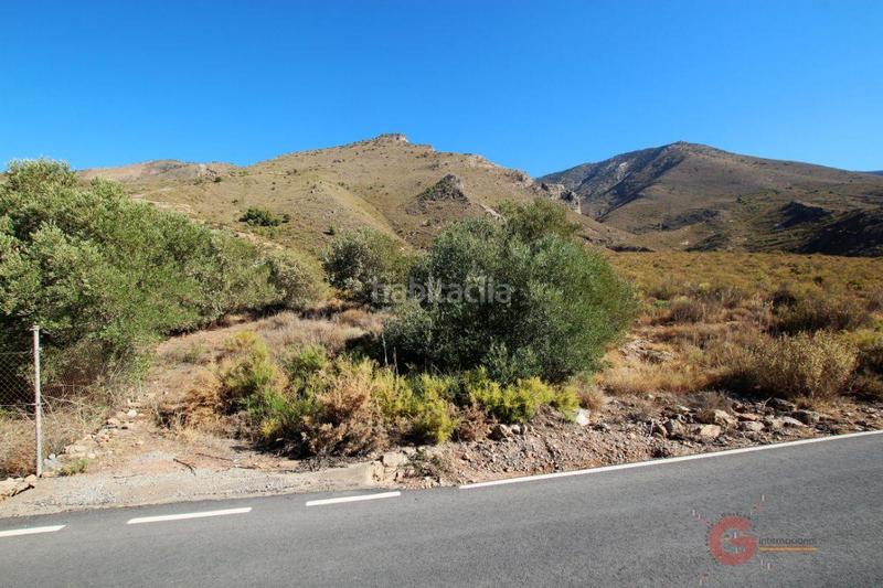 Foto e3d7a46e-e566-4d7e-b61d-3db298f23d5f. Masía finca rustica en Vélez de Benaudalla