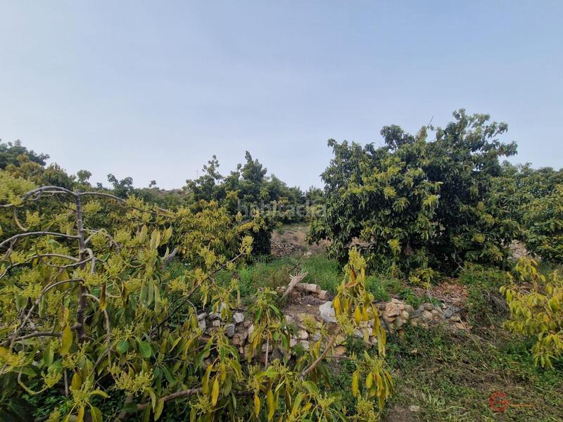 Foto 491ce8d4-aa9b-4217-9360-f3456d7c1087. Masía itrabofinca rustica en Ítrabo