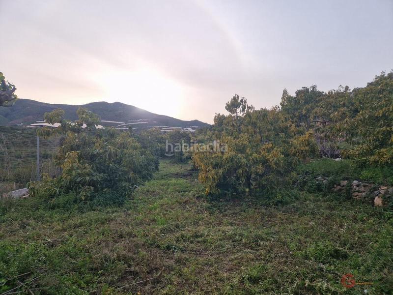 Foto b0530115-ecaa-4819-aa8e-eae594296199. Masía itrabofinca rustica en Ítrabo