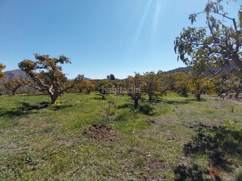 Foto 34228d15-f766-4d23-bf99-c53a15dd1b62. Masía finca rustica en Lobres Salobreña