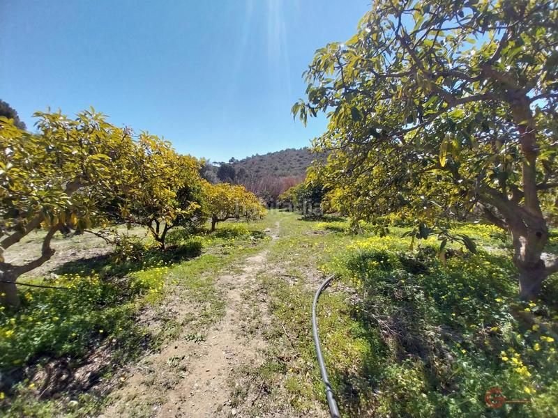 Foto b6cc70f6-3c65-4912-ac79-88d44e30714f. Masía finca rustica en Lobres Salobreña