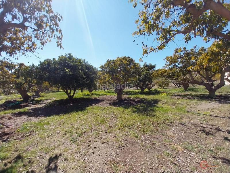 Foto edfc1e7d-970b-472c-aa05-3fadd559ae74. Masía finca rustica en Lobres Salobreña