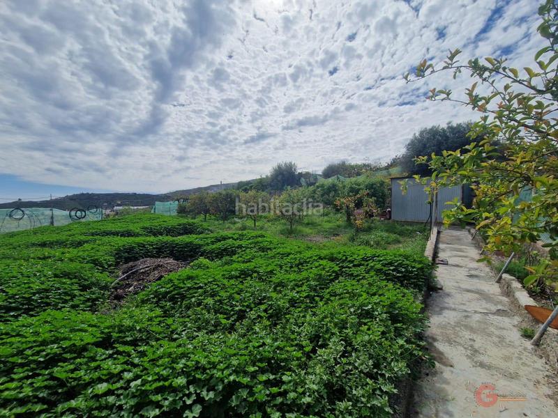 Foto b0c4616e-b80c-4411-9d97-4c6904591777. Masía finca rustica en Centro Salobreña