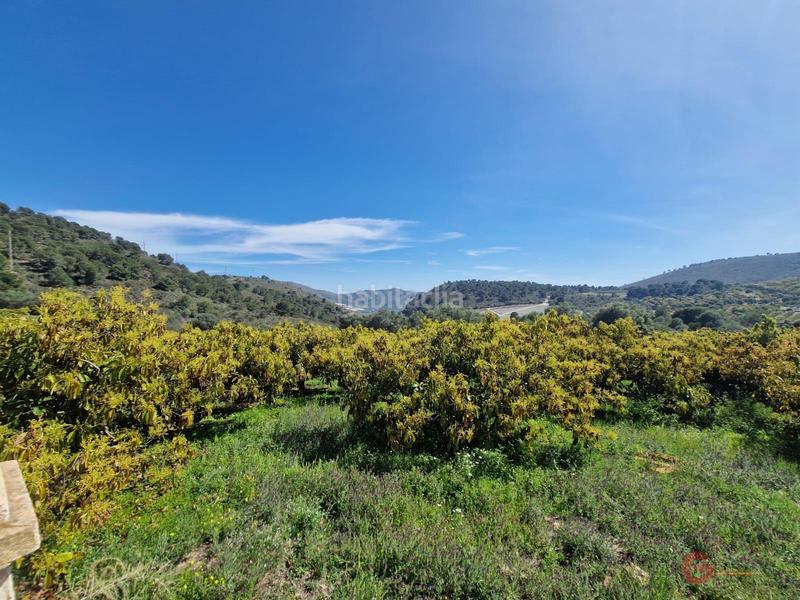 Foto 0d7c93bf-1c05-4e86-bbb3-e67a720104b9. Masía finca rustica en Lobres Salobreña