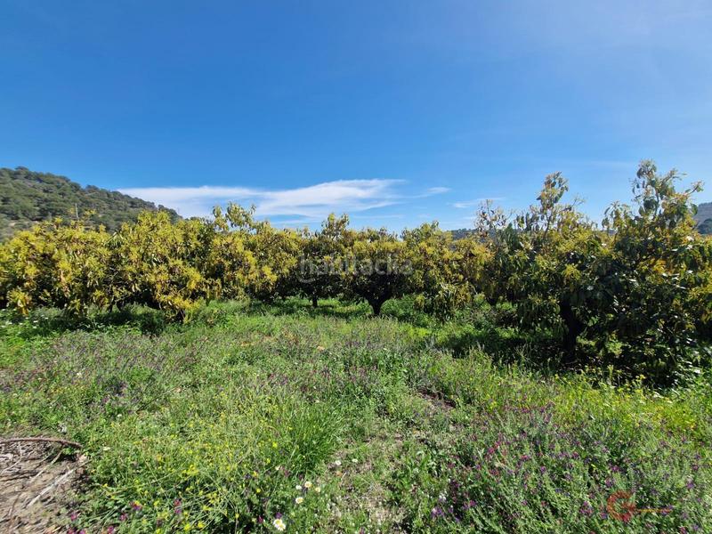 Foto 9b5d0ce1-c9c4-4a5a-b059-9ff65db57cd2. Masía finca rustica en Lobres Salobreña