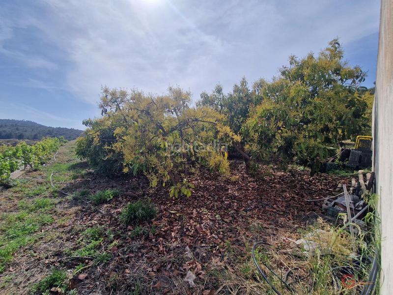 Foto 434b4d25-e07a-41a1-a753-a8557dacc1ed. Masía finca rustica en Lobres Salobreña