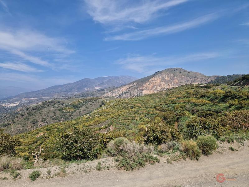 Foto de3b4ed8-fbd8-4ae1-929e-c9fb77c58ee6. Masía finca rustica en Lobres Salobreña