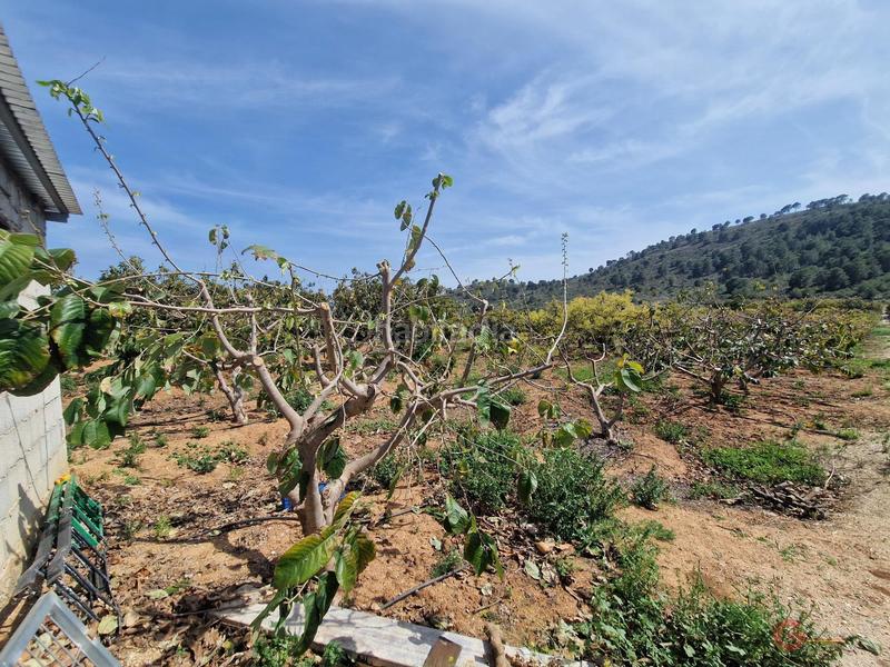Foto a76f925c-9eb6-4a50-8039-f762f44b5763. Masía finca rustica en Lobres Salobreña