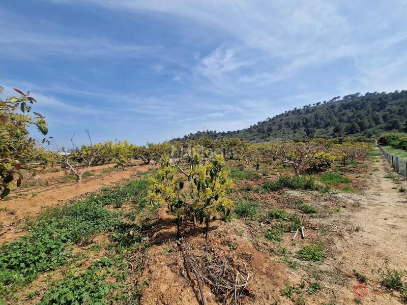 Foto a7ecf832-5db6-4d5f-bc01-e5164af80c53. Masía finca rustica en Lobres Salobreña